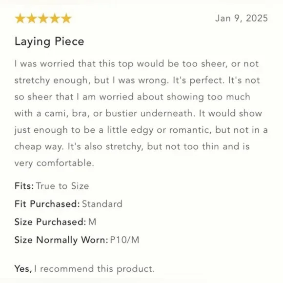 NWT Size M By Anthropologie Mesh Turtleneck Top - Picture 11 of 15